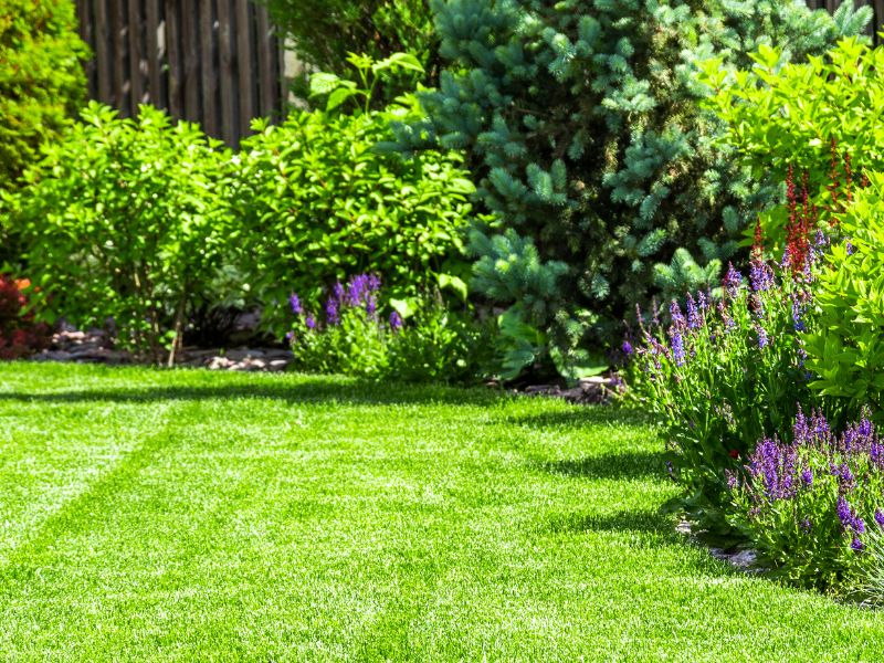 Die Kunst der Rasenpflege: Ein Leitfaden für einen gesunden und schönen Rasen